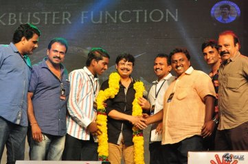 Sarrainodu Movie Blockbuster Function